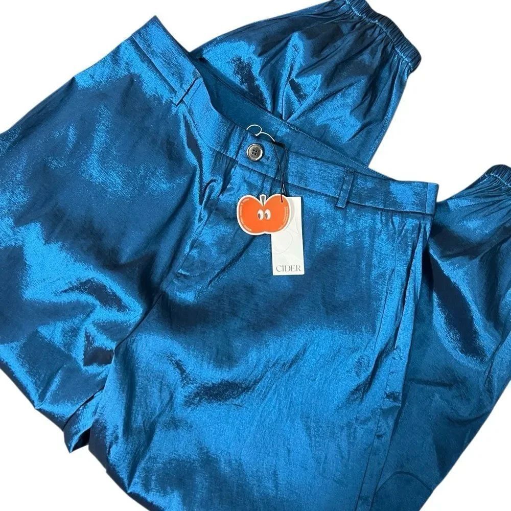 Cider Metallic Blue Cargo Joggers Size 1XL